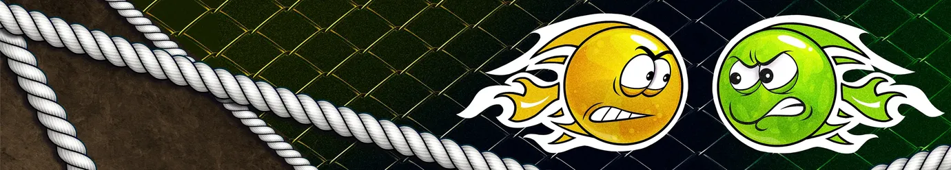 Ligue internationale de MMA